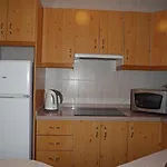 Palmeras 9 Menyber