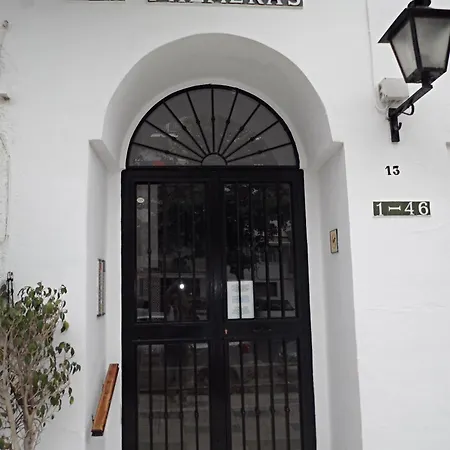 Palmeras 9 Menyber