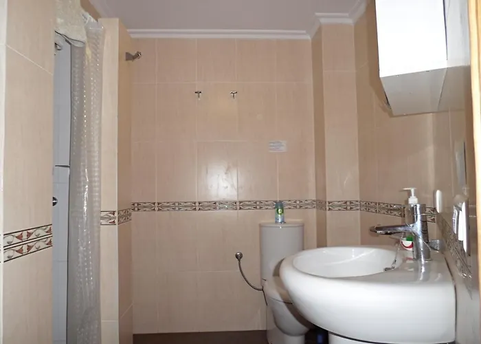 Palmeras 9 Menyber *