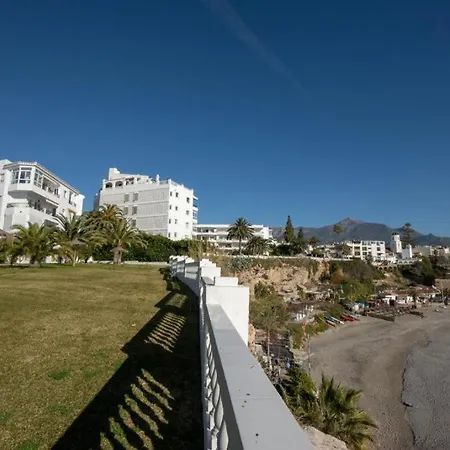 Palmeras 9 Menyber *