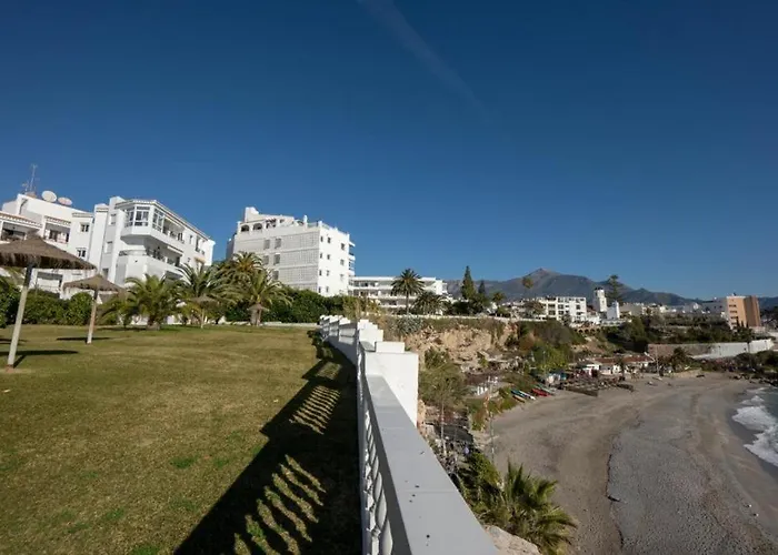 Palmeras 9 Menyber *